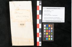Foto (Objekt + Etikett) von Ulmus braunii Heer (NHMW-GEO-2024-0188-8122)